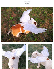 Angel Wings For Pets