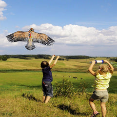 1.1m Flat Eagle Kite