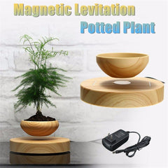 Magnetic Levitating Plant Pot